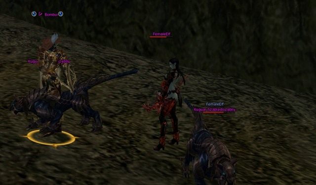 PvP w Lineage 2 jest niewątpliwie jedną z najlepszych zalet tej gry - Podstawy - Player vs Player - Lineage II: Goddess of Destruction - poradnik dla początkujących