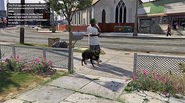 Chop - GTA 5: Chop, pies - sztuczki, opieka, rozwijanie umiejętności - GTA 5 - poradnik do gry