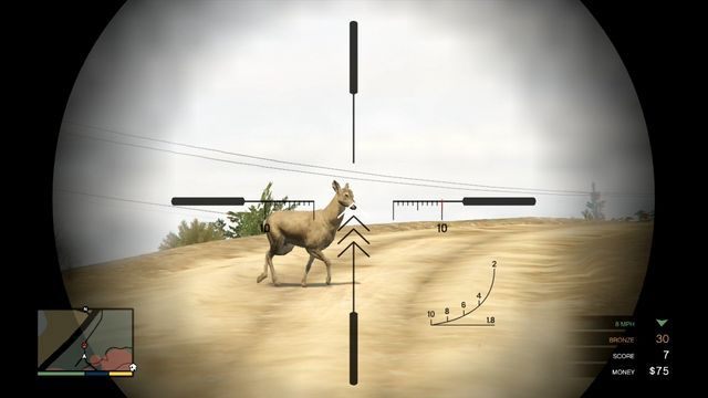 Łanie nie mają rogów i nie powinny być zabijane, chyba że będzie to część wyzwania - GTA 5: Polowanie - porady - GTA 5 - poradnik do gry