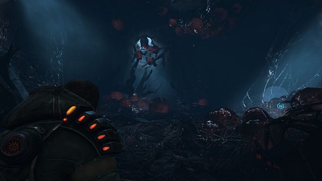 W grze niejednokrotnie spotkamy miejsca pełne akridów. - Garść porad | Porady | Lost Planet 3 - Lost Planet 3 - poradnik do gry