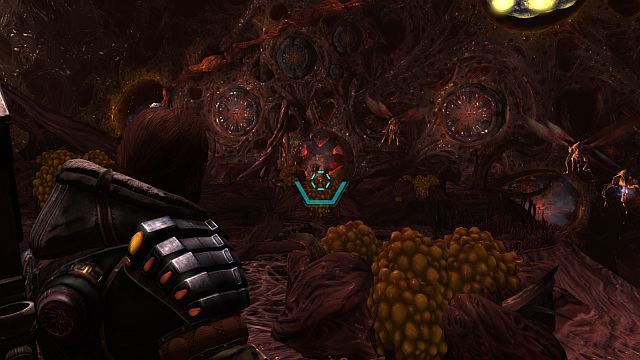 Wnętrze Nushi to niekoniecznie przyjazne miejsce. - Misja finałowa - Powstrzymanie Isenberga i sił NEVECU | Opis przejścia i zadania poboczne - Lost Planet 3 - poradnik do gry