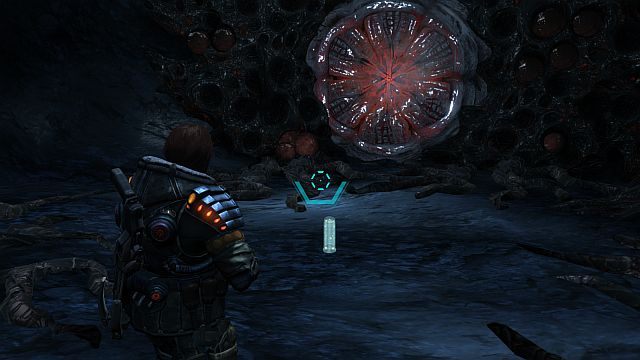 Ponownie wśród akridów. - Zadania poboczne | Opis przejścia i zadania poboczne | Lost Planet 3 - Lost Planet 3 - poradnik do gry