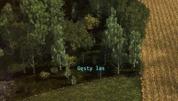 Las zapewnia najlepszą możliwość ukrycia się - Teren | Teren, morale i manewrowanie | Wargame AirLand Battle - Wargame: AirLand Battle - poradnik do gry