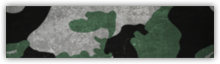 Kamuflaż Duckweed (leśny/miejski) - Zwiadowca w Battlefield 4 | Klasy postaci - Battlefield 4 - poradnik do gry