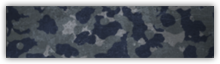 Kamuflaż TTsKO BLUE (miejski) - Technik w Battlefield 4 | Klasy postaci - Battlefield 4 - poradnik do gry