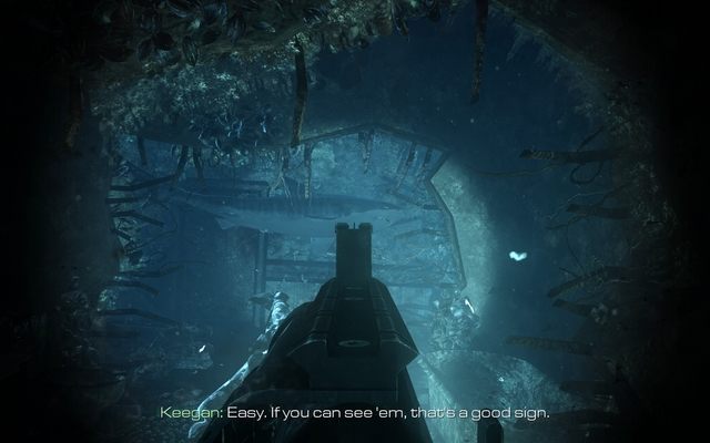 Popatrz na te zęby! - 12 - Into The Deep | Kampania - opis przejścia | Call of Duty Ghosts - Call of Duty: Ghosts - poradnik do gry