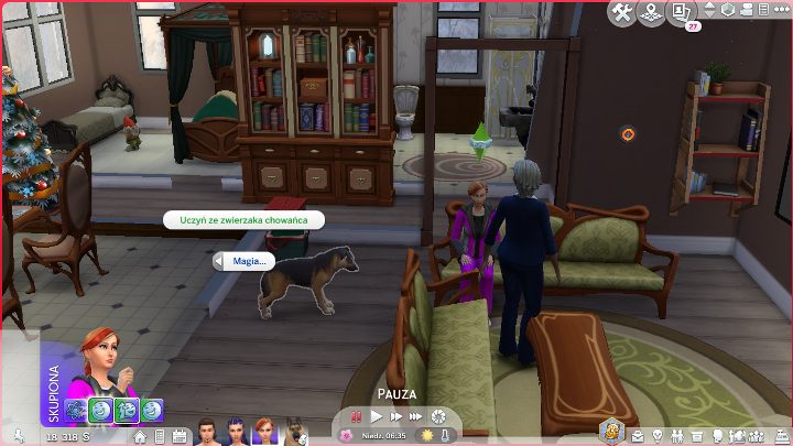 Przyjaciel z dodatku Psy i koty również może zostać chowańcem. - Sims 4 Kraina Magii: Chowańce - Sims 4 - poradnik do gry