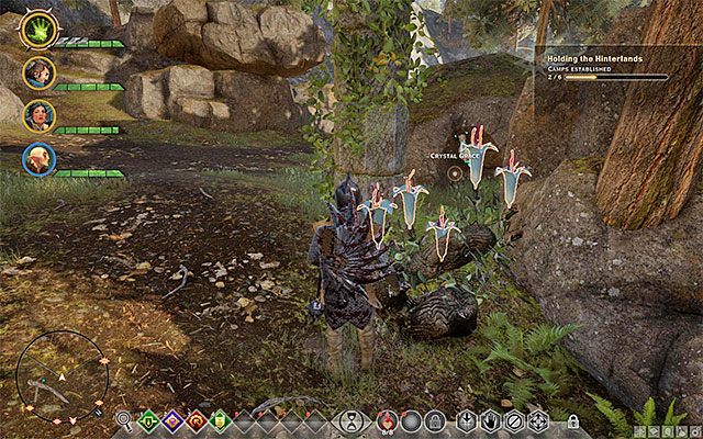 Przykładowe zioło - Dragon Age Inquisition: Zioła w Dragon Age Inkwizycja - Dragon Age: Inkwizycja - poradnik do gry