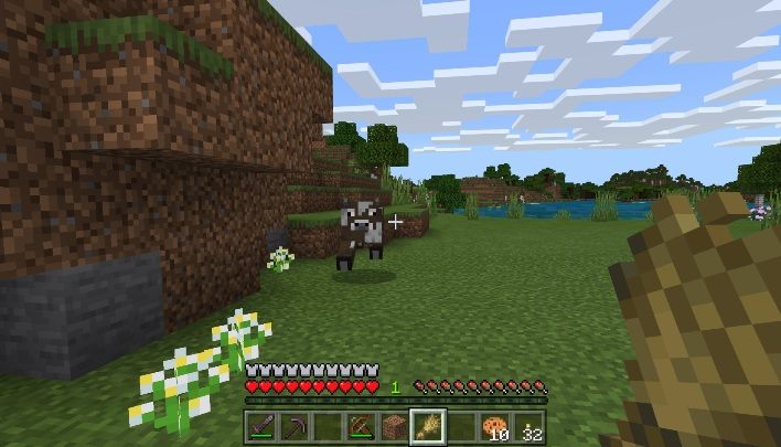 Nie zabijaj wszelkich zwierząt, które staną Ci na drodze - Minecraft: Porady na start - Minecraft - poradnik do gry