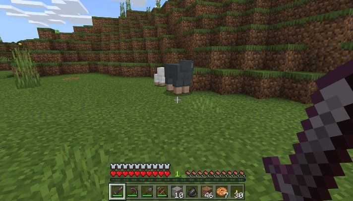 W Minecrafcie występuje wiele różnych zwierząt - Minecraft: Porady na start - Minecraft - poradnik do gry