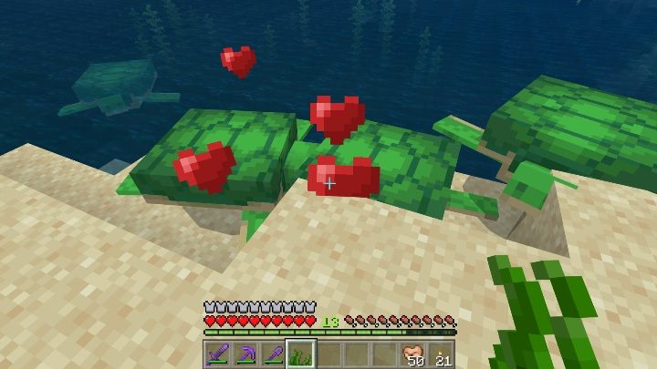 Aby rozmnożyć żółwie potrzebujesz trawy morskiej - Minecraft: Żółwie - Aktualizacja wodna / Update Aquatic - Minecraft - poradnik do gry