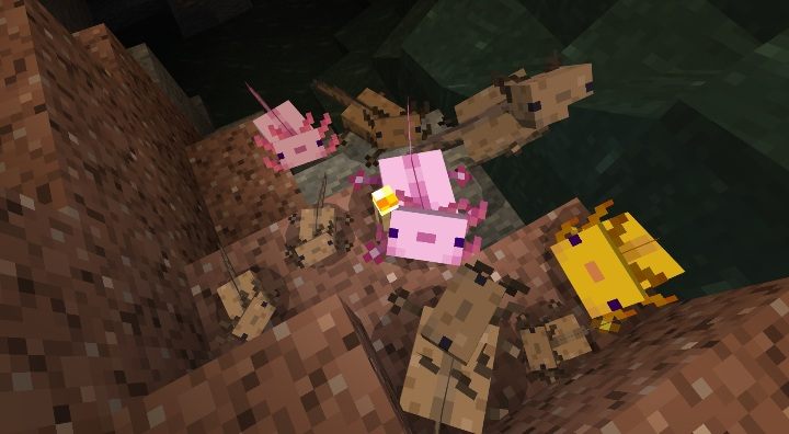 Aksolotl występuje głównie w podwodnych jaskiniach - Minecraft Caves & Cliffs: Aksolotl - występowanie, zastosowanie - Minecraft - poradnik do gry