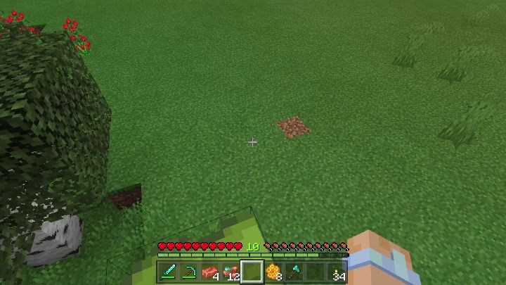 Można się od niej odbijać, ale nie jest to pewny element - Minecraft Caves & Cliffs: Mimoza - otrzymywanie, zastosowanie - Minecraft - poradnik do gry