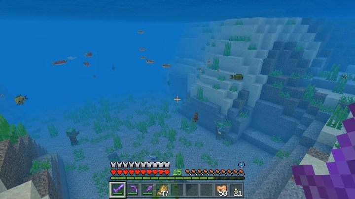 Występowanie ryb zależy od ich gatunku - Minecraft: Ryby - Minecraft - poradnik do gry