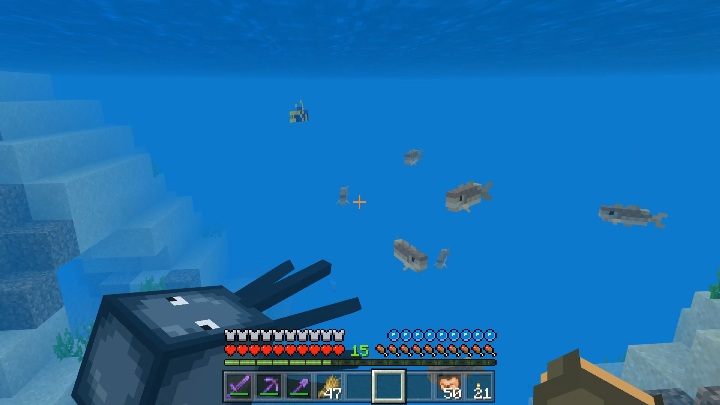 Ryby najczęściej pływają w ławicach - Minecraft: Ryby - Minecraft - poradnik do gry