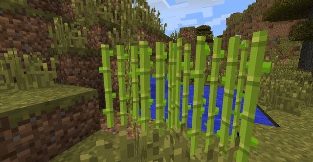 Trzcina cukrowa - Minecraft: Ciasto - jak upiec? Krok po kroku, porady - Minecraft - poradnik do gry