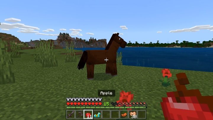Konia możesz spotkać na równinach bądź sawannach - Minecraft: Moby oswajalne - jak oswoić? - Minecraft - poradnik do gry
