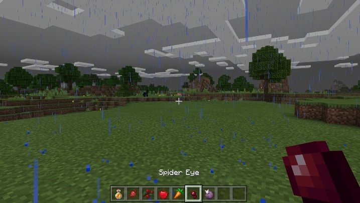 Oko pająka używane jest do alchemii oraz tworzenia posiłków - Minecraft: Żywność - schematy, crafting - Minecraft - poradnik do gry
