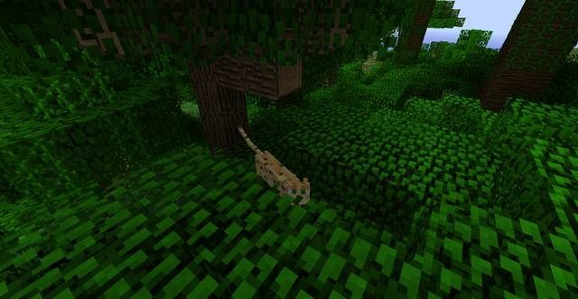 Oceloty występują jedynie w dżungli - Minecraft: Zwierzęta - moby - Minecraft - poradnik do gry
