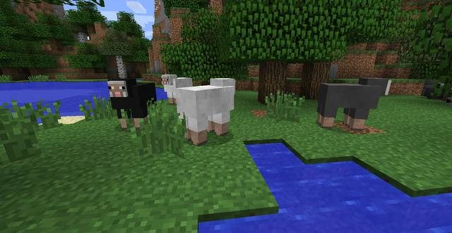 Owce najczęściej żyją w stadach - Minecraft: Zwierzęta - moby - Minecraft - poradnik do gry