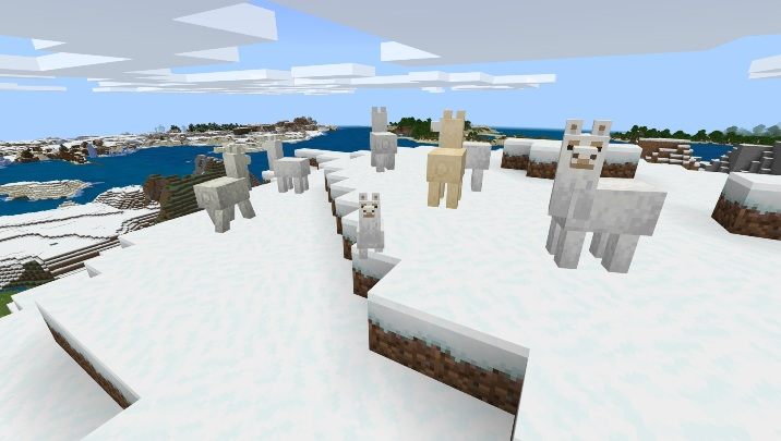 Lamę najczęściej spotkasz na sawannie - Minecraft: Zwierzęta - moby - Minecraft - poradnik do gry