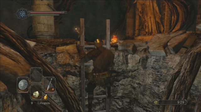 Zejdź po drabinie - Forest Of The Fallen Giants (II) | Opis przejścia | Dark Souls II - Dark Souls II - poradnik do gry