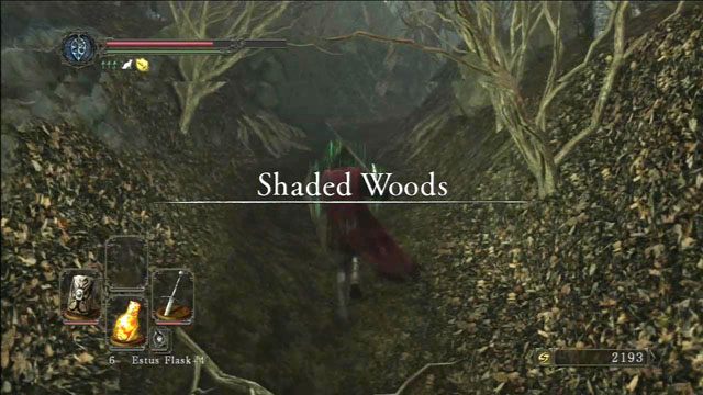Shaded woods - Shaded woods | Opis przejścia | Dark Souls II - Dark Souls II - poradnik do gry