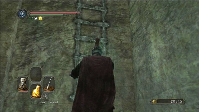 Wejdź po drabinie - Brightstone Cove Of Tseldora - leże królowej | Opis przejścia | Dark Souls II - Dark Souls II - poradnik do gry