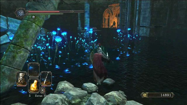 Biegnij wyznaczoną ścieżką - Shrine Of Amana | Opis przejścia | Dark Souls II - Dark Souls II - poradnik do gry