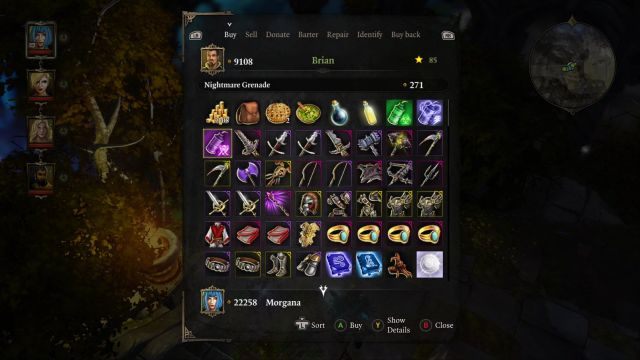 Twoje ostatnie zakupy w grze - dobrze wykorzystaj tą okazję. - First Garden (Void Dragon) | Dark Forest - misje główne w Divinity - Divinity: Grzech Pierworodny - poradnik do gry