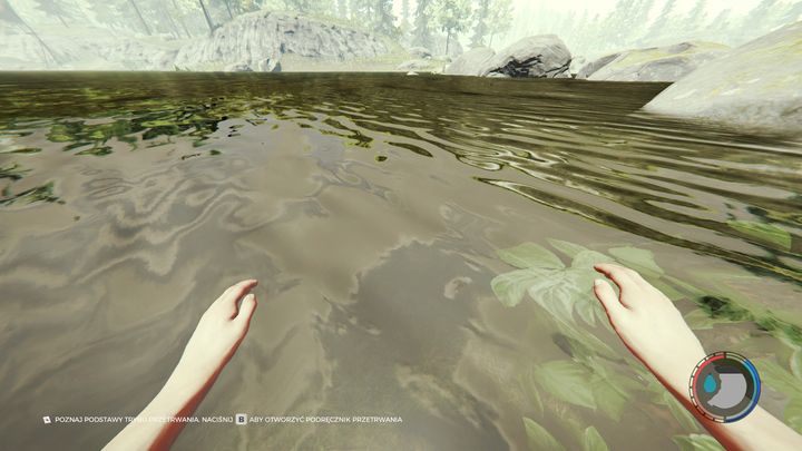 Kiedy zauważycie na swoich dłoniach ślady krwi, niezwłocznie weźcie kąpiel - The Forest: Porady na start - The Forest - poradnik do gry