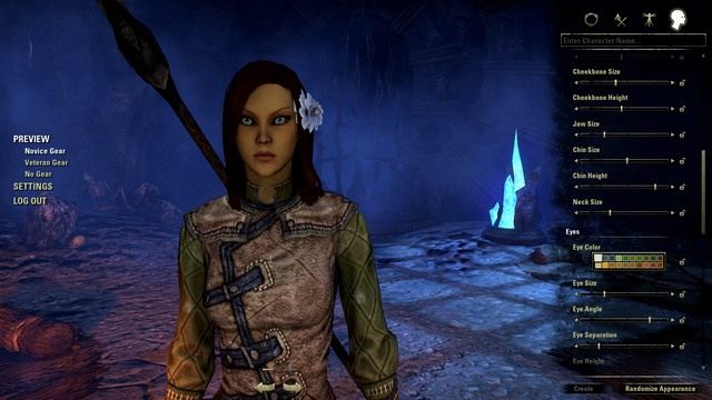 Wygląd naszego bohatera - ESO: Bohater, porady - The Elder Scrolls Online - poradnik do gry