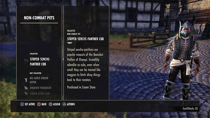 1 - ESO: 500 startowych koron - na co wydać? Porady - The Elder Scrolls Online - poradnik do gry
