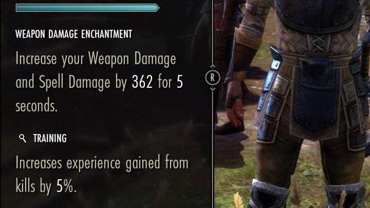 Innym bardzo dobrym sposobem jest korzystanie z elementów ekwipunku zwiększających ilość otrzymywanego xp - ESO: XP - jak szybciej levelować? - The Elder Scrolls Online - poradnik do gry