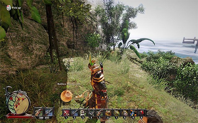 Przykładowy grzybek - Emmas Hellswill (Lekarstwo Emmy) | Poboczne zadania - Antigua | Risen 3 - Risen 3: Władcy Tytanów - poradnik do gry