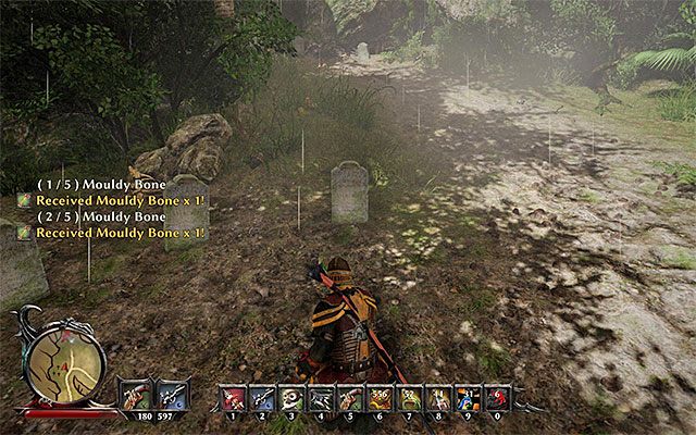 Kości odnajdziesz na cmentarzu - Emmas Hellswill (Lekarstwo Emmy) | Poboczne zadania - Antigua | Risen 3 - Risen 3: Władcy Tytanów - poradnik do gry