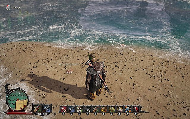 Przykładowa muszla - A New Rank (Nowa ranga) | Poboczne zadania - Taranis | Risen 3 Władcy Tytanów - Risen 3: Władcy Tytanów - poradnik do gry