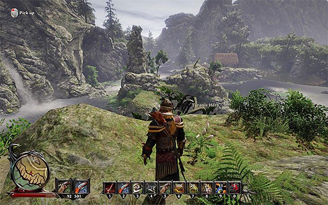 Twoim zadaniem jest odnajdywanie ziół Taranis (Taranis Herb) (przykład na powyższym obrazku) - Herbs and Tinctures (Zioła i nalewki) | Poboczne zadania - Taranis | Risen 3 - Risen 3: Władcy Tytanów - poradnik do gry