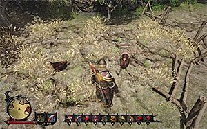 Turkey (Indyk) - Bestiariusz w Risen 3 Władcy Tytanów | Opis mechanik rozgrywki - Risen 3: Władcy Tytanów - poradnik do gry