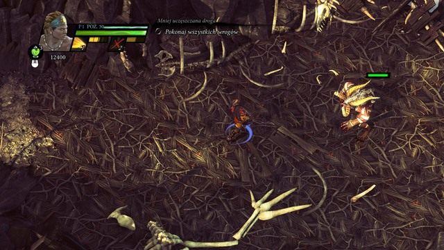 Bestia w adekwatnym otoczeniu. - Pokonanie wszystkich przeciwników | Zadania poboczne w Sacred 3 - Sacred 3 - poradnik do gry