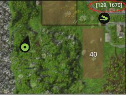 Aby sprawdzić swoje położenie, wystarczy spojrzeć na minimapę - namiary gracza są przez cały czas wyświetlane w jej prawym górnym rogu - Mapa | Złote monety w Farming Simulator 15 - Farming Simulator 15 - poradnik do gry