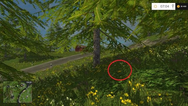 Moneta leży nieopodal drogi, pomiędzy dwoma drzewami - Sektor A: monety 1 - 12 | Złote monety w Farming Simulator 15 - Farming Simulator 15 - poradnik do gry