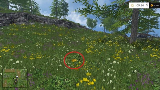 W trawie, niedaleko drzewa - Sektor D: monety 45 - 54 | Złote monety w Farming Simulator 15 - Farming Simulator 15 - poradnik do gry