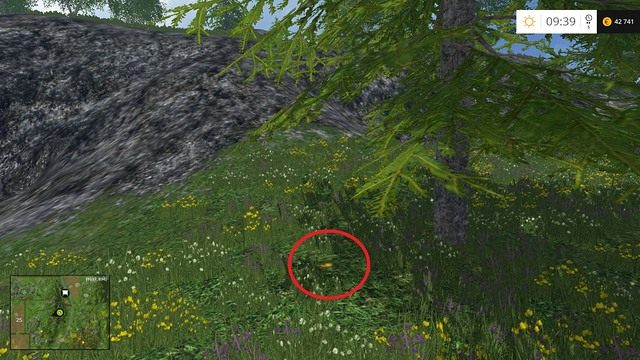 W trawie, tuż obok drzewa - Sektor D: monety 45 - 54 | Złote monety w Farming Simulator 15 - Farming Simulator 15 - poradnik do gry