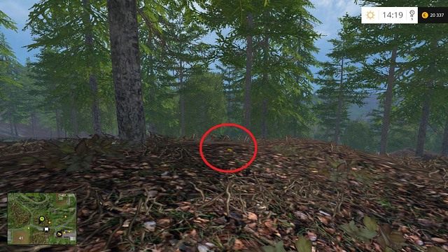 Na ściółce, obok drzewa - Sektor G: monety 90 - 100 | Złote monety w Farming Simulator 15 - Farming Simulator 15 - poradnik do gry
