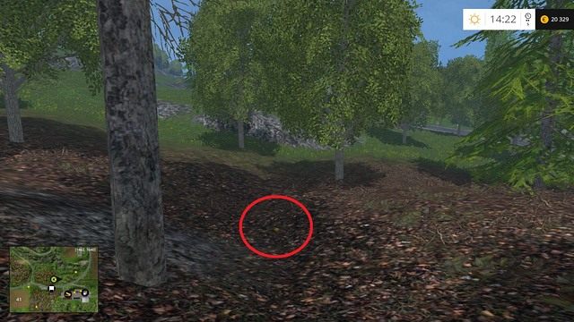 Również na ściółce, pomiędzy dwoma drzewami - Sektor G: monety 90 - 100 | Złote monety w Farming Simulator 15 - Farming Simulator 15 - poradnik do gry
