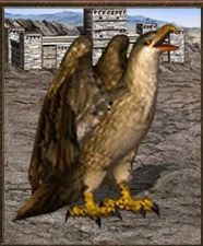 Atak: 13 - Twierdza | Jednostki w Heroes of Might & Magic III - Heroes of Might & Magic III: HD Edition - poradnik do gry