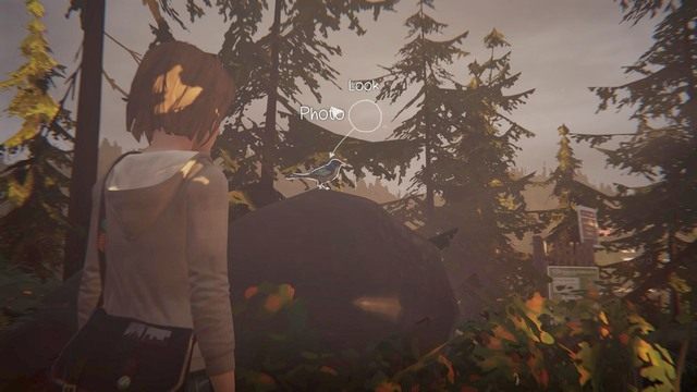 Przedostatnie zdjęcie znajdziesz w momencie, kiedy uciekniesz z Chloe z domu - Life is Strange: Chrysalis - Zdjęcia - Life is Strange - poradnik do gry
