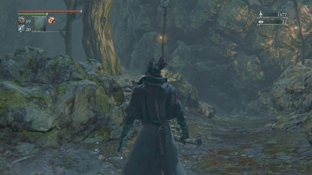 Droga w Zakazanym lesie prowadząca do jaskini. - Iosefka | Zadania poboczne w Bloodborne - Bloodborne - poradnik do gry