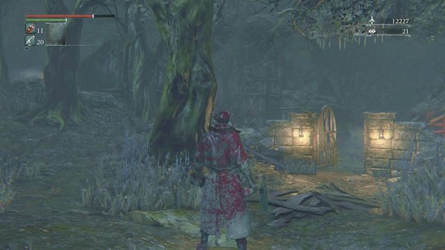 Do tejże samej wioski dostaniesz się idąc po trawie, również w lewo od nagrobku, ale nieco wcześniej - Zakazany las | Opis przejścia Bloodborne - Bloodborne - poradnik do gry